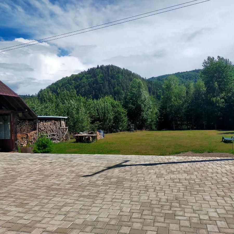 Casa Luna Gura Humorului Buitenkant foto